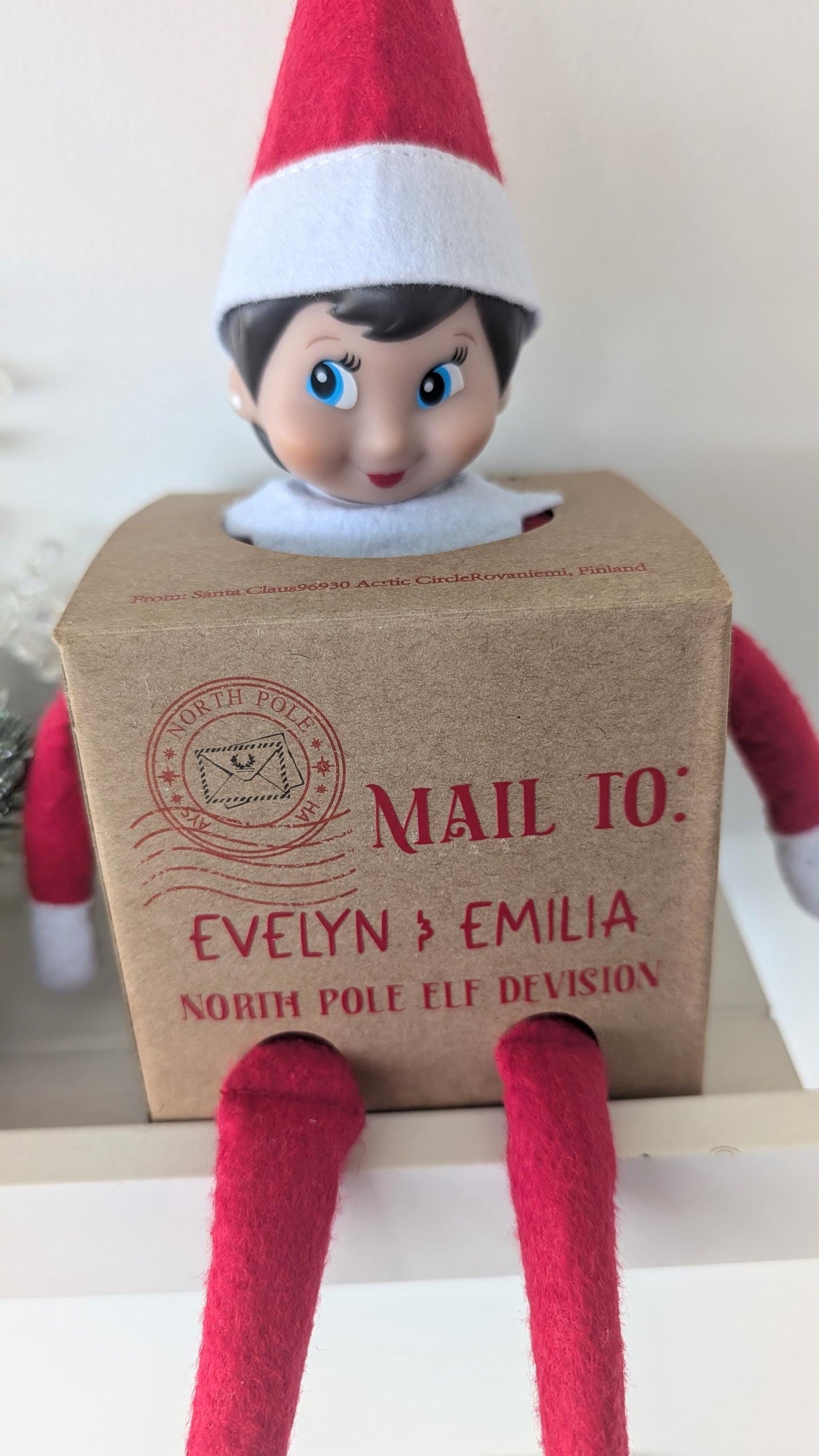 Personalised Elf Arrival Mail Box | Father Christmas' North Pole Elf | Naughty Nice | Christmas Tradition | Elf Arrival | Kids Christmas Elf