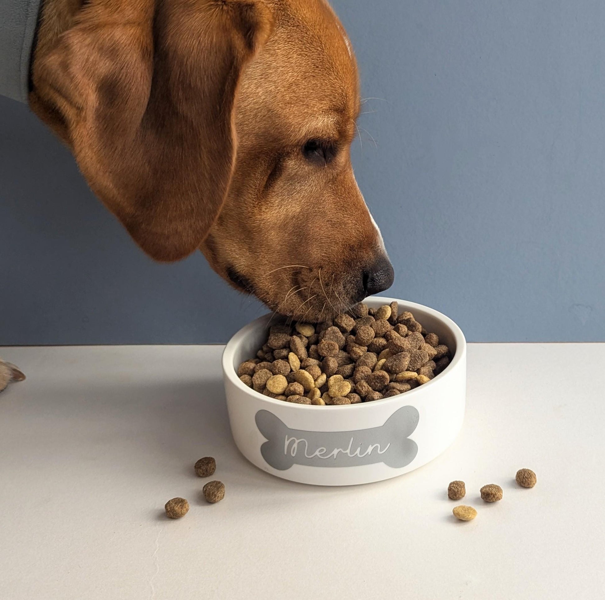 Personalised Dog Treat Jar | Dog Lover Gift | Dog Treats | Custom Bamboo Lid Jar | Pet Treats | Glass Jar | Dog Food Jar | Organise