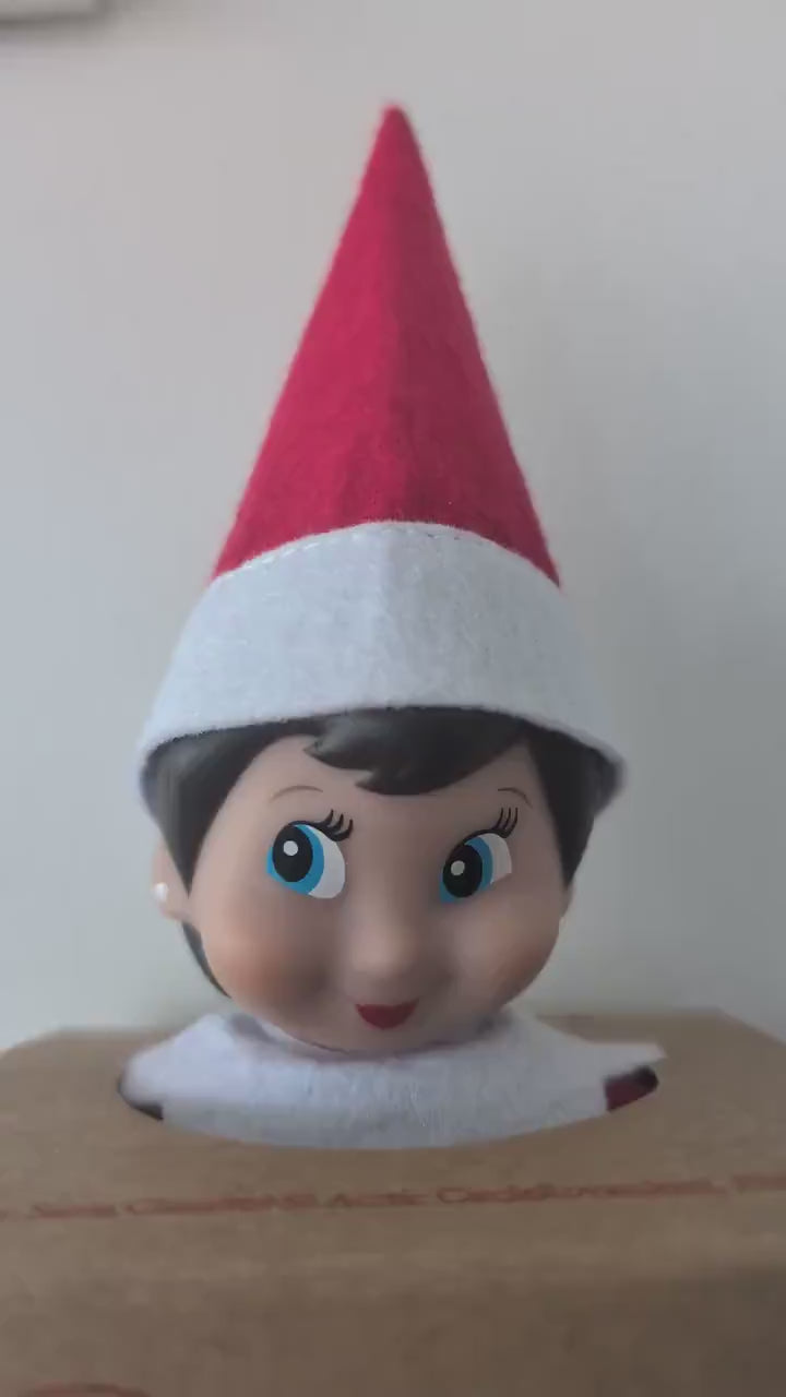 Personalised Elf Arrival Mail Box | Father Christmas' North Pole Elf | Naughty Nice | Christmas Tradition | Elf Arrival | Kids Christmas Elf