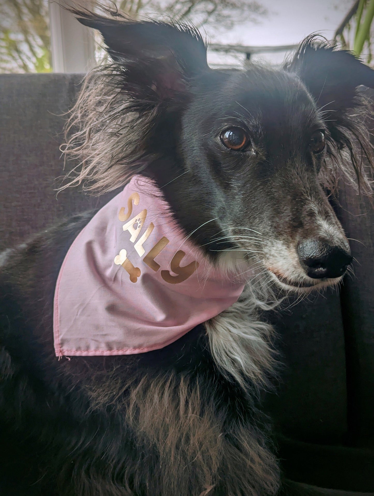 Personalised Dog Bandana | Pet Accessories | Custom Bandana | Any Colour, Any Style | Dog Lover Gift | Pet Gift | Dog Collar Alternative