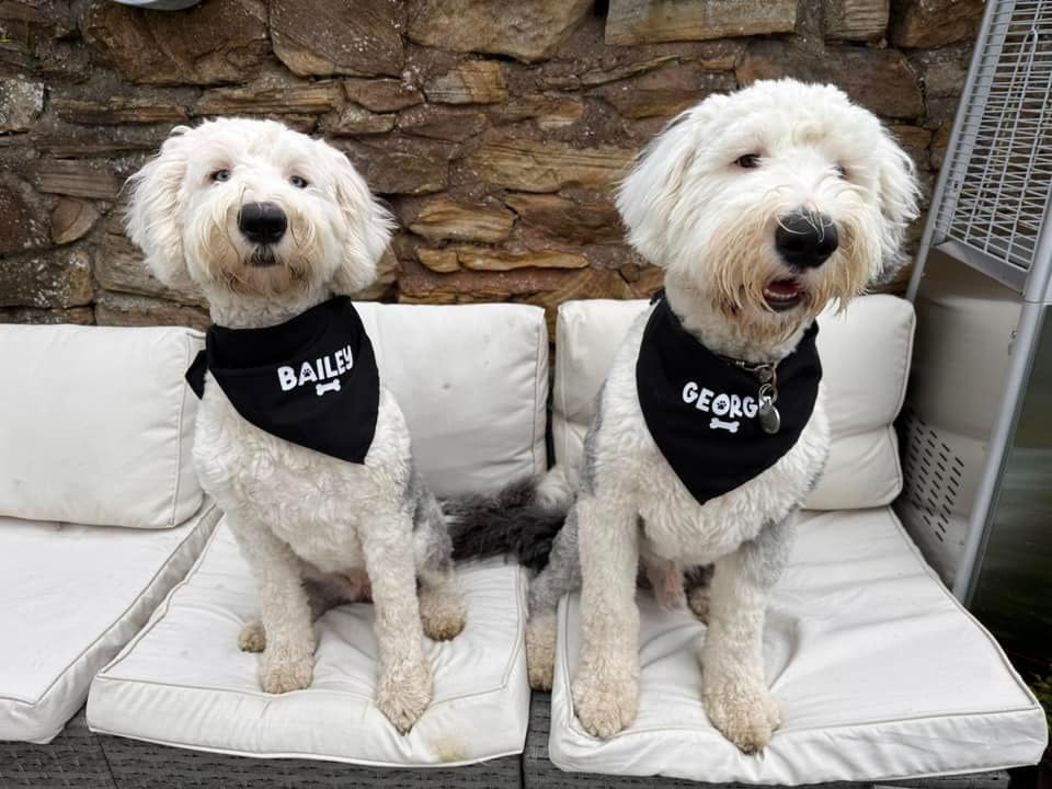 Personalised Dog Bandana | Pet Accessories | Custom Bandana | Any Colour, Any Style | Dog Lover Gift | Pet Gift | Dog Collar Alternative