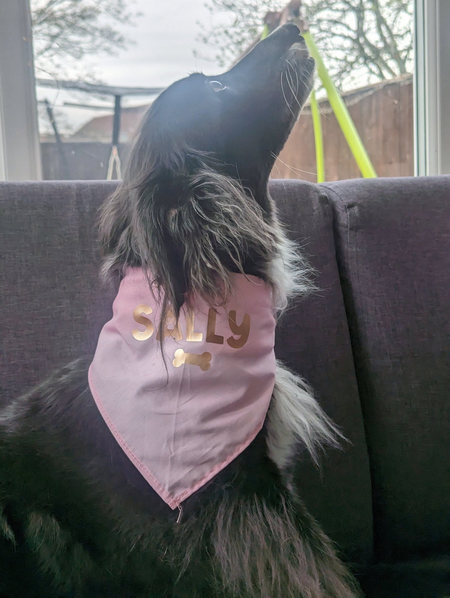 Personalised Dog Bandana | Pet Accessories | Custom Bandana | Any Colour, Any Style | Dog Lover Gift | Pet Gift | Dog Collar Alternative