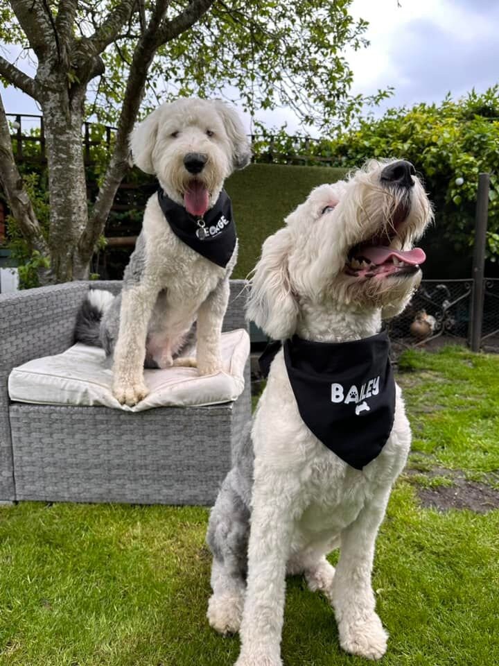 Personalised Dog Bandana | Pet Accessories | Custom Bandana | Any Colour, Any Style | Dog Lover Gift | Pet Gift | Dog Collar Alternative