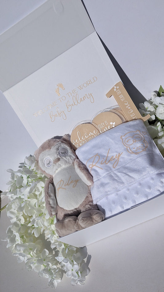 Personalised New Baby Gift Box | Newborn Gift Set | Personalised Bear | Personalised Blanket | Milestone Disks| Gender Neutral Baby Gift