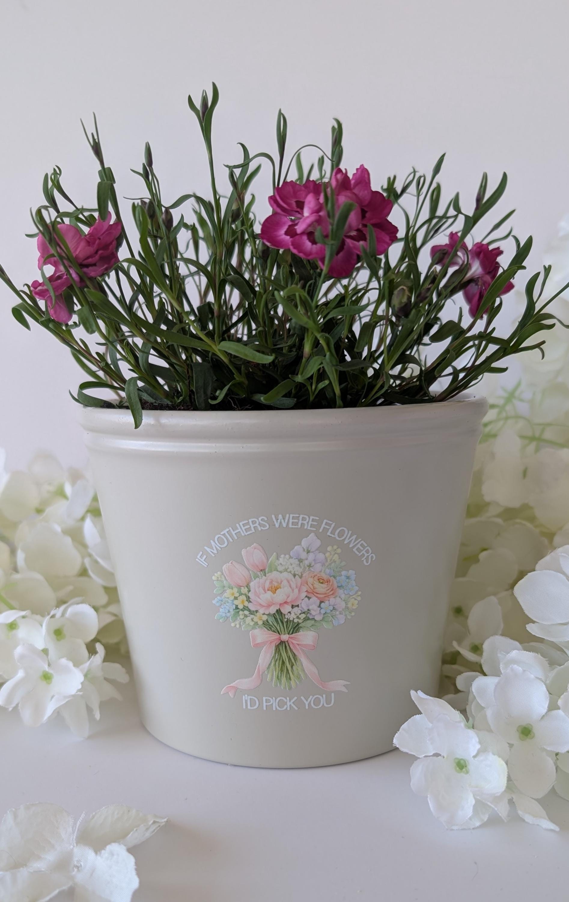 Personalised Plant Pot | If Mothers Were Flowers, I'd Pick You | Garden Lover Gift | Birthday Flowers Gift | Mum Nana Sister Aunty Mam Gift