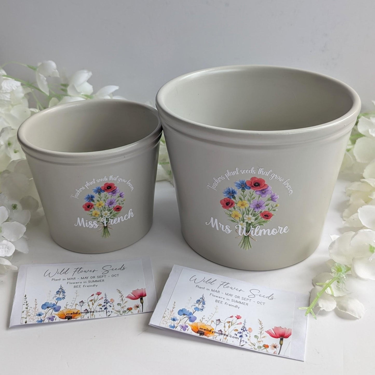 Personalised Teacher Plant Pot | Teachers Plant Seeds that Grow Forever | Wild Flowers - Bee friendly | End of Year Gift | Teacher Gift