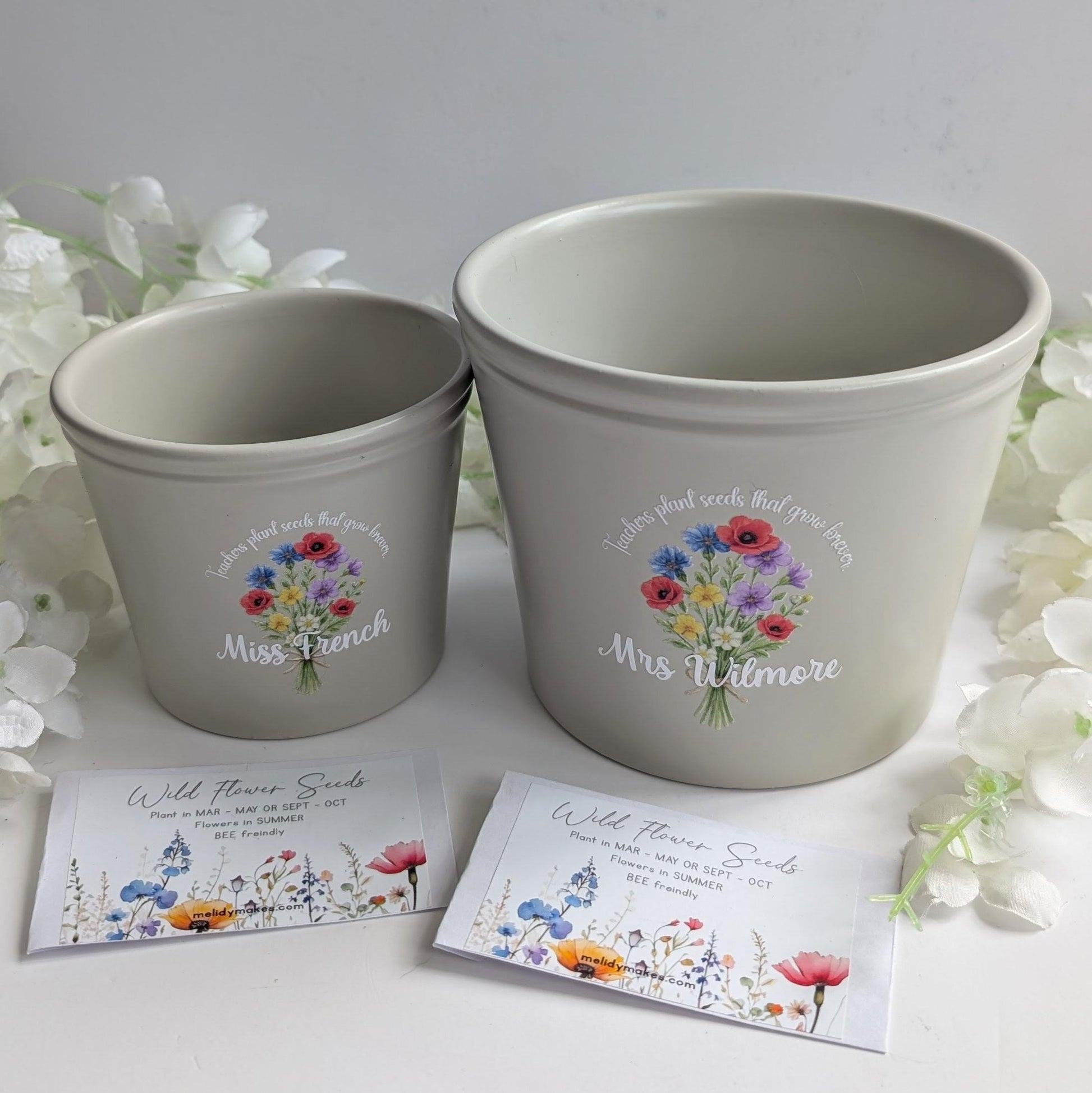 Personalised Teacher Plant Pot | Teachers Plant Seeds that Grow Forever | Wild Flowers - Bee friendly | End of Year Gift | Teacher Gift