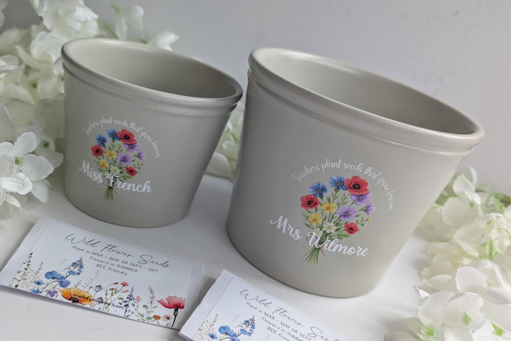 Personalised Teacher Plant Pot | Teachers Plant Seeds that Grow Forever | Wild Flowers - Bee friendly | End of Year Gift | Teacher Gift